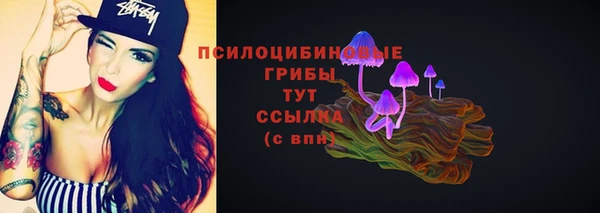эйфоретик Нязепетровск