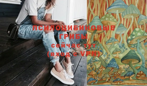 гидра Аркадак